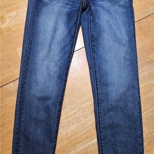 American Eagle Outfitters Dark Blue Women's Skinny Jeans